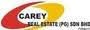 Carey Real Estate Pg Sb