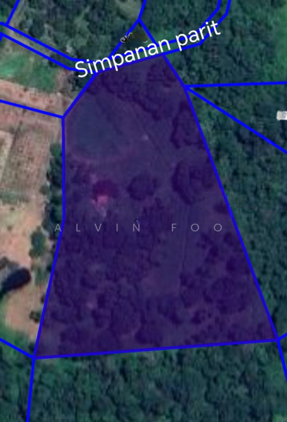 Agricultural Land for Sale in Kampung Sungai Limau, Batu 10, Simpang by Alvin Foo - iProperty.com.my