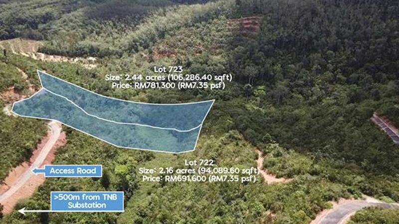 Agricultural Land for Sale in Karak, Pahang by Eugene Yap - iProperty.com.my