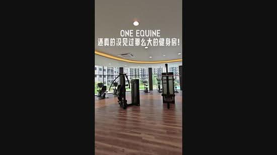 Service Residence for Rent in One Equine by Raymond Heng - iProperty.com.my