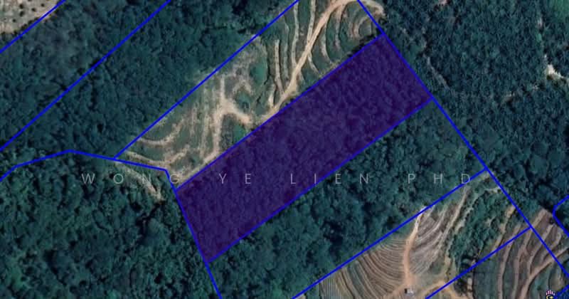 Agricultural Land for Sale in Bandar Baru Lembah Beringin, Sungai Gumut by Wong Ye Lien PhD - iProperty.com.my