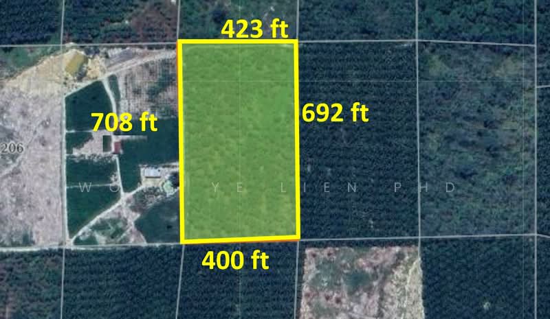 Agricultural Land for Sale in Bera, Pahang by Wong Ye Lien PhD - iProperty.com.my