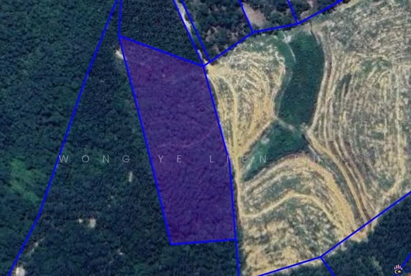 Agricultural Land for Sale in Kampung Manchis, Pelangai by Wong Ye Lien PhD - iProperty.com.my