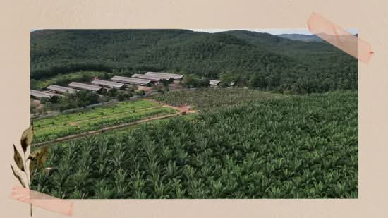 Industrial Land for Sale in Bukit Selambau, Kedah by Derrick Ng - iProperty.com.my