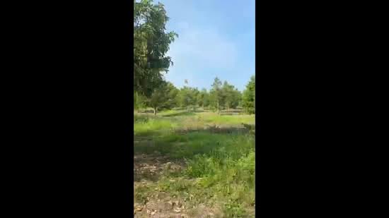 Agricultural Land untuk Dijual di Muar, Johor oleh Mohd Faez - iProperty.com.my
