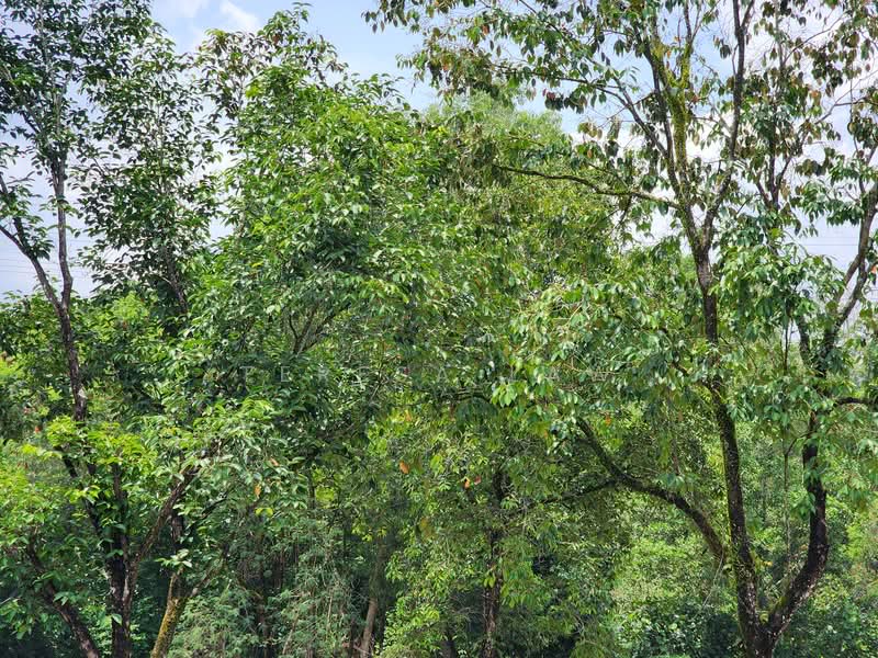 Tanah Kediaman untuk Dijual di Kerling, Selangor oleh Teresa Law - iProperty.com.my