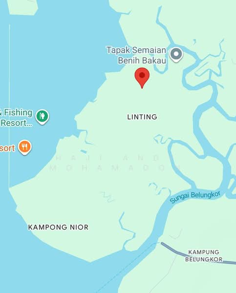 Agricultural Land for Sale in Kampung Linting, Tanjung Surat by Haji Andy Mohamadon - iProperty.com.my