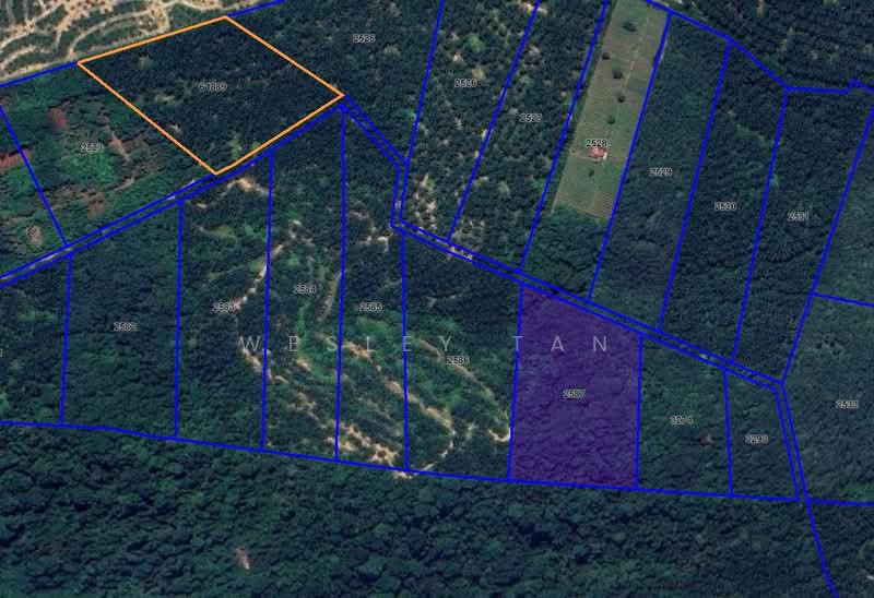 Agricultural Land untuk Dijual di Machap, Melaka oleh Wesley Tan - iProperty.com.my