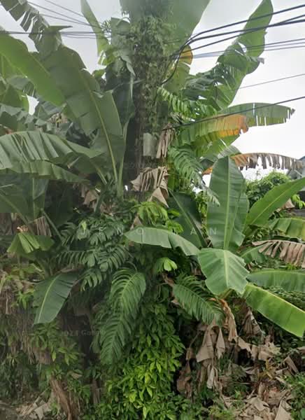 Lain-lain untuk Dijual di Kuching, Sarawak oleh Jeno Tan - iProperty.com.my