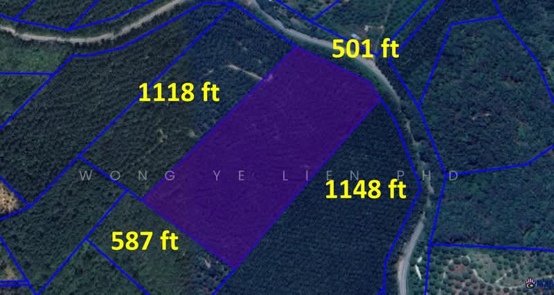 Agricultural Land for Sale in Pelangai, Pahang by Wong Ye Lien PhD - iProperty.com.my
