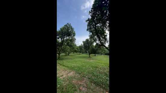 Agricultural Land untuk Dijual di Mantin, Negeri Sembilan oleh Kenny Yew - iProperty.com.my