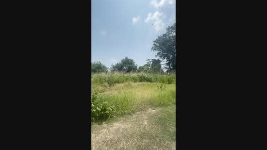 Residential Land for Sale in Port Dickson, Negeri Sembilan by Felina Low - iProperty.com.my