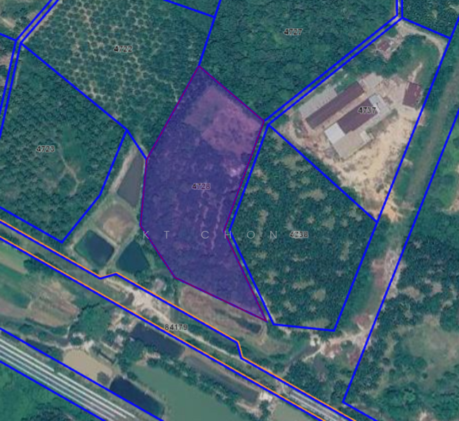 Agricultural Land for Rent in Batu Arang, Batu Arang by KT Chong - iProperty.com.my