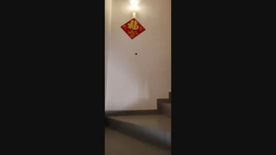 Rumah Teres 2-Tingkat untuk Disewa di Sungai Ara, Penang oleh KH Tan - iProperty.com.my
