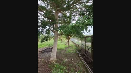 Agricultural Land for Sale in Kampung Sungai Petai, Sungei Petai by Nadzmi Azilan - iProperty.com.my