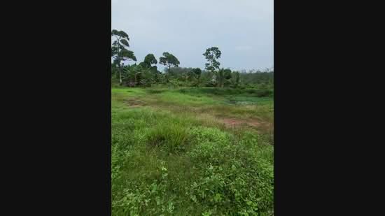 Agricultural Land for Sale in Kampung Sungai Petai, Sungei Petai by Nadzmi Azilan - iProperty.com.my