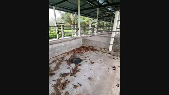 Agricultural Land for Sale in Kampung Sungai Petai, Sungei Petai by Nadzmi Azilan - iProperty.com.my