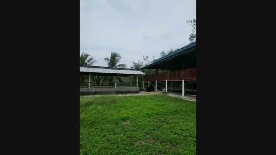 Agricultural Land for Sale in Kampung Sungai Petai, Sungei Petai by Nadzmi Azilan - iProperty.com.my