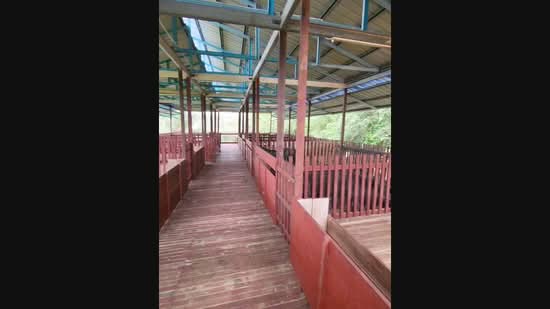 Agricultural Land for Sale in Kampung Sungai Petai, Sungei Petai by Nadzmi Azilan - iProperty.com.my