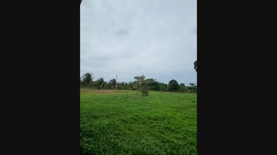 Agricultural Land for Sale in Kampung Sungai Petai, Sungei Petai by Nadzmi Azilan - iProperty.com.my