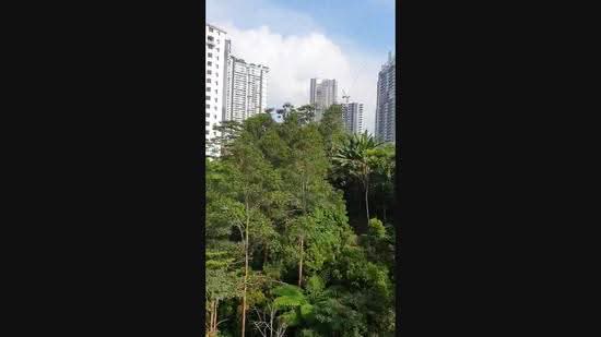 Apartment for Sale in Kempas Apartment by Janice Low - iProperty.com.my