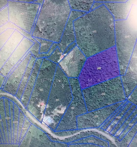 Agricultural Land for Sale in Kampung Lata Kasah, Jerantut by Fadilah Mat Yusoff - iProperty.com.my